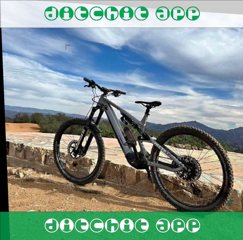 Electric Bike Options – Find the Perfect Ride for Your Preferences question brother