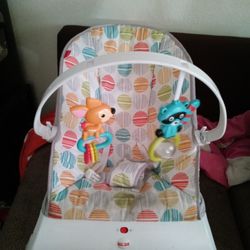 Baby Bouncer