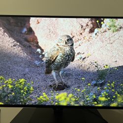 43” LG 4k 60hz Monitor 43UN700-B