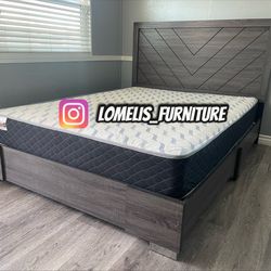 King Greywood with ortho Matres !!