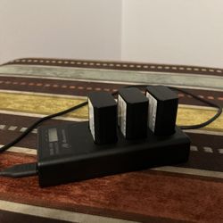 PowerExtra Dual USB Charger 
