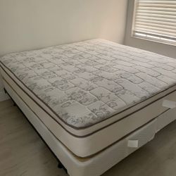 New King Mattress And Box Springs Bed Frame Is Not Included 