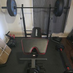 WEIGHTS AND BAR. EVERYTHING FOR SALE