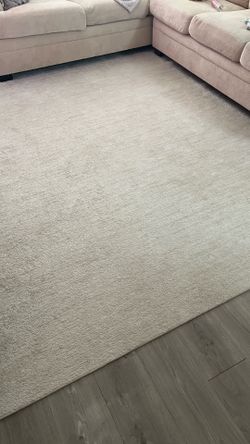 Large beige/neutral area rug