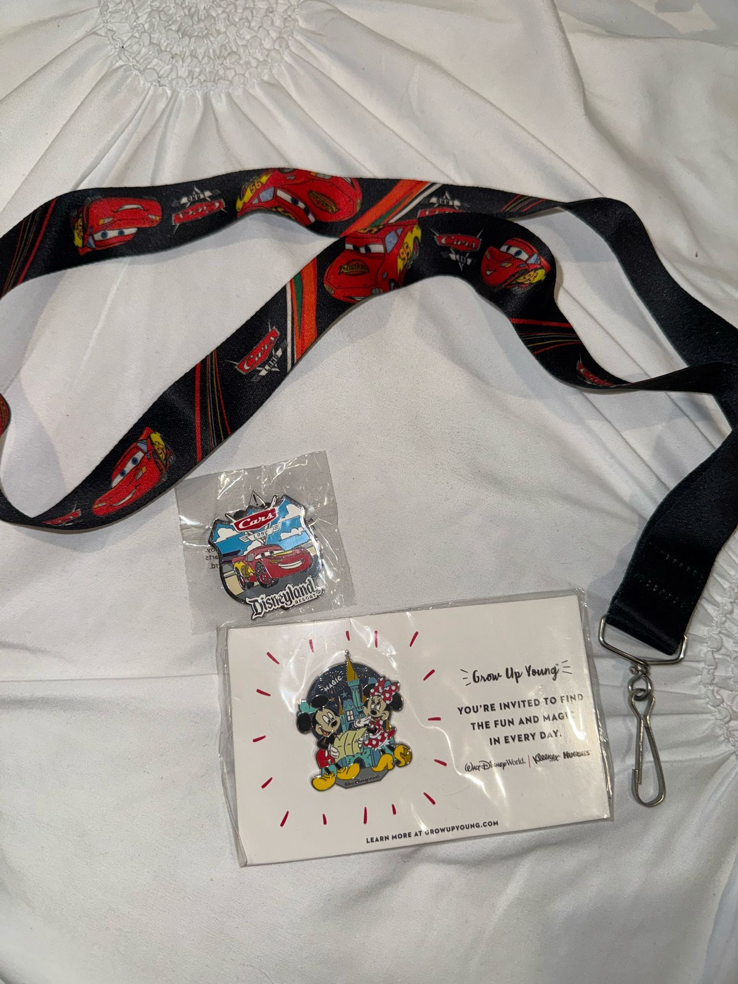 Disney pins and lanyard
