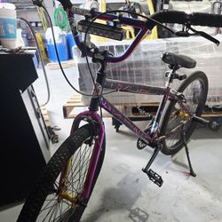 26 in Haro BMX With Custom Paint