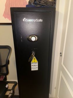 Sentry standing safe