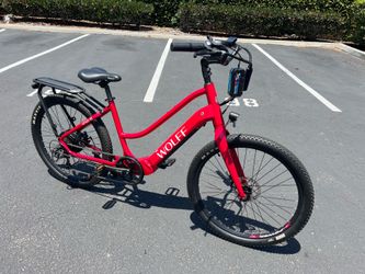 E bike.  New.    Paid $1699.  Asking $700