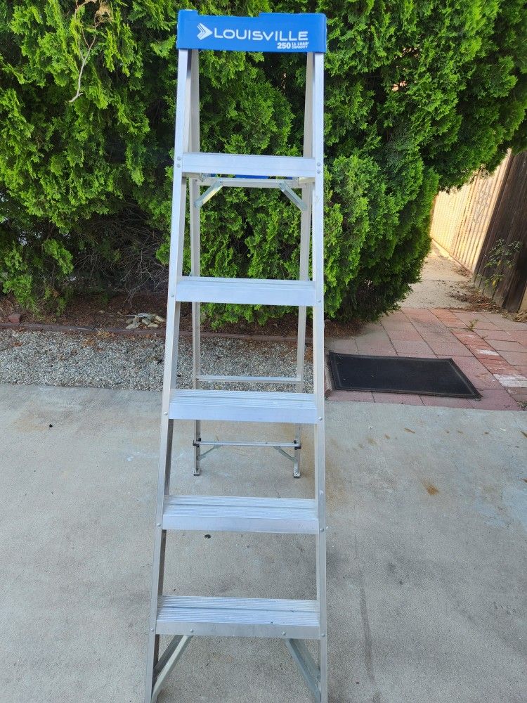 6 FT Louisville Ladder