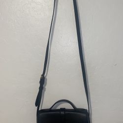 Fossil Crossbody Bag