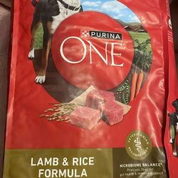 PURINA ONE