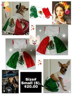 Mexico Pet Patriot Outfit - Small
