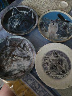 Wolf collector plates