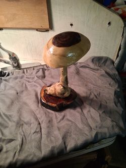 Mushroom Arrangement