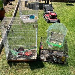 Bird Cages