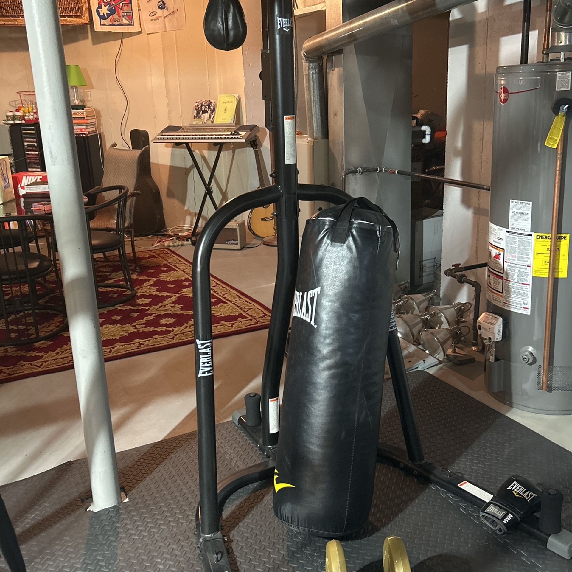 Everlast Punching & Speed Bag