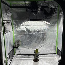Grow Tent 2x4