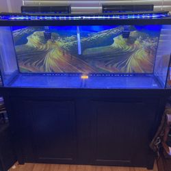 55 Gallon Fish Tank / Stand/ Full Set Up