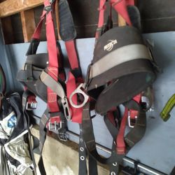 Safety Harness
