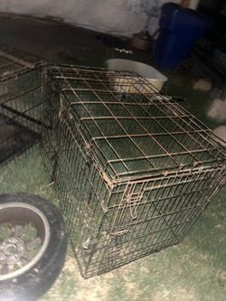 Dog Cage