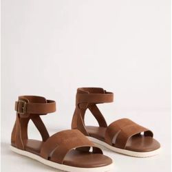 Torrid Brown Sandals