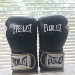 Everlast 16 Oz Power Lock  Boxing Gloves