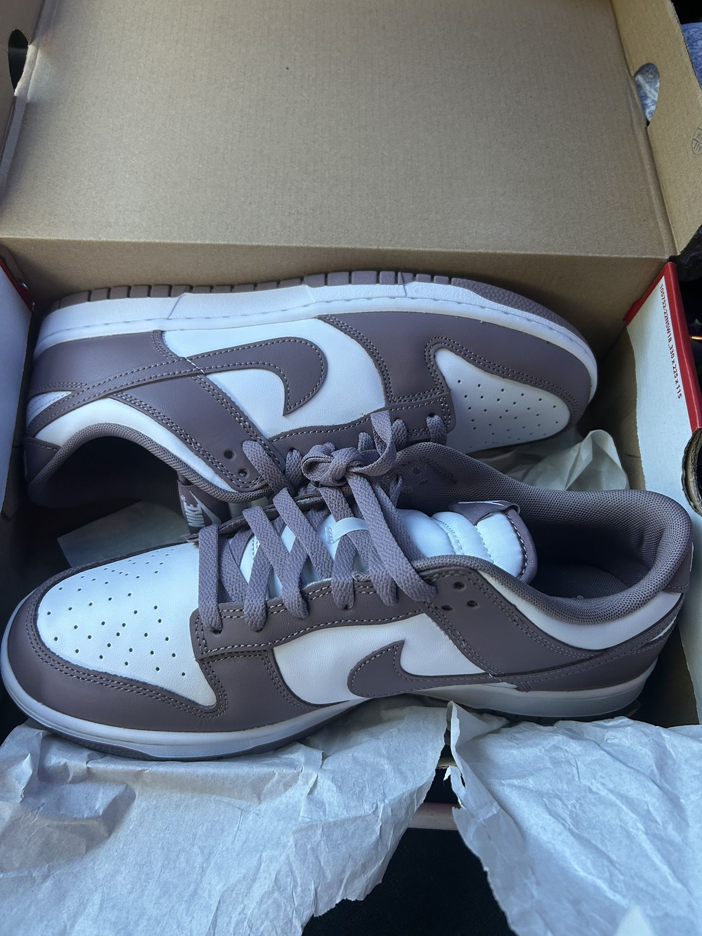 Nike Dunks Size 11