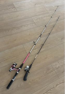 $20 for both FISHING RODS