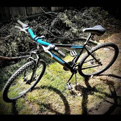 Kent Mountain Bike