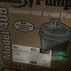 Commercial drain pump