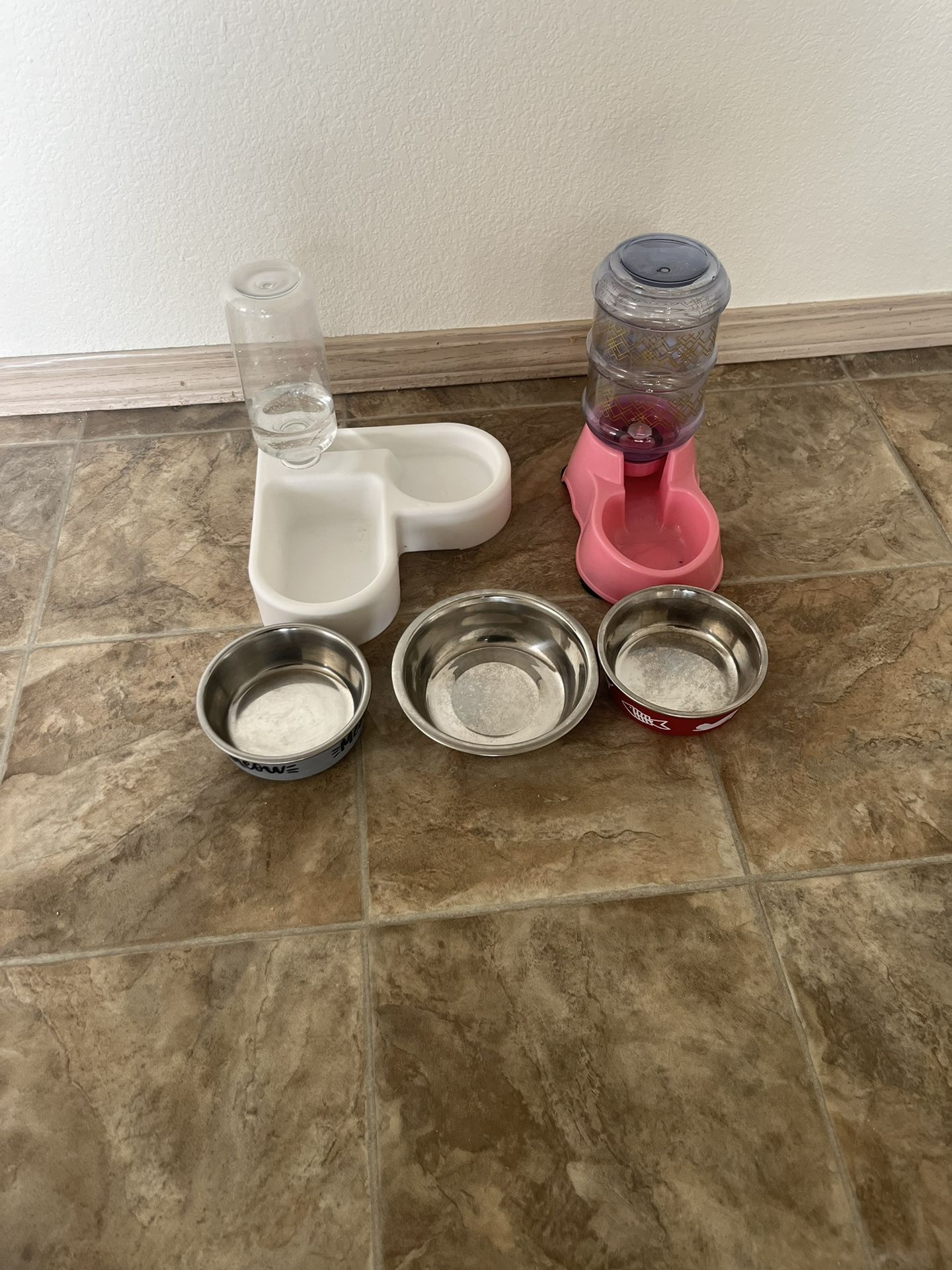 Pet Food bowl