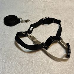 PetSafe Easy Walk No-Pull Dog Harness