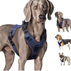 Dog Harness (Medium/Blue)