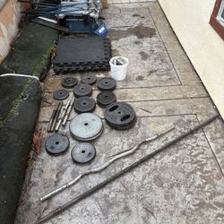 Workout Weights And Bars