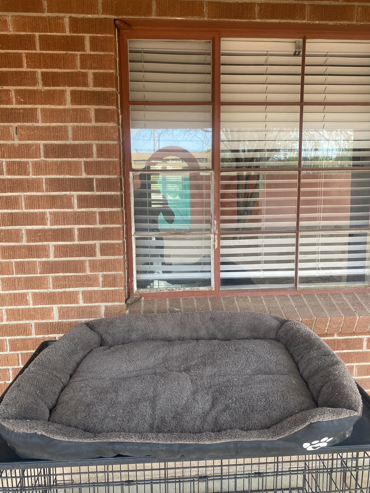 Dog Bed 