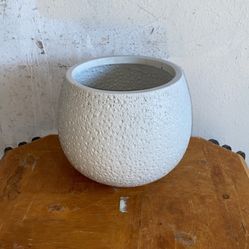 PLANT HOLDER FOR GARDENS 