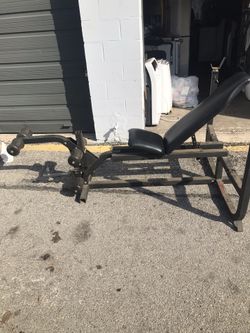 Brutus excel weight bench hotsell