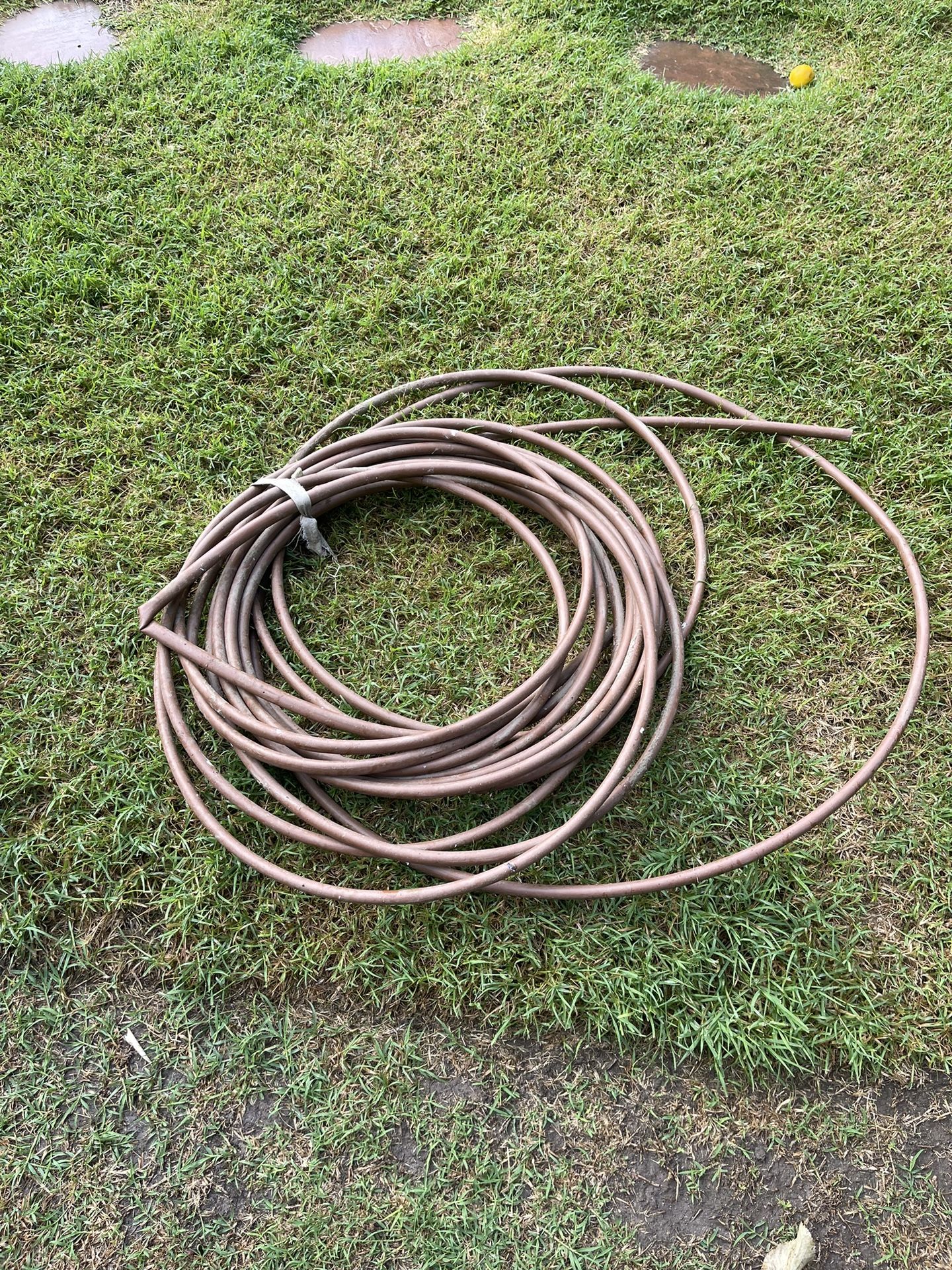 Dripline