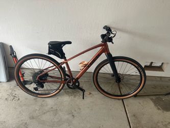 2024 trek dual sport