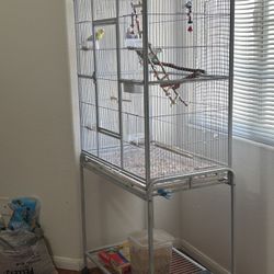 Large Beautiful Avian Cage For Any Birds