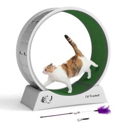 31.5''D Cat Running Treadmill