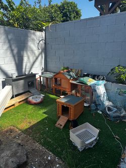 Free Rabbit Hutch and houses