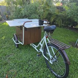 Custom Cargo Dutch Bike 