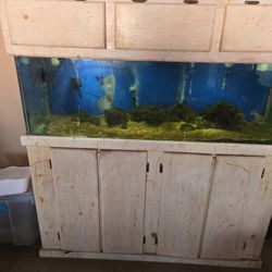 100 gal fish tank 