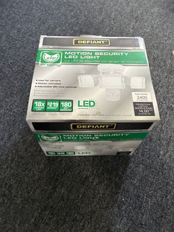 Defiant Motion Security LED Light