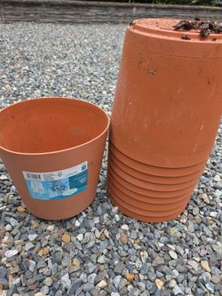 Vigoro 10" plastic planters