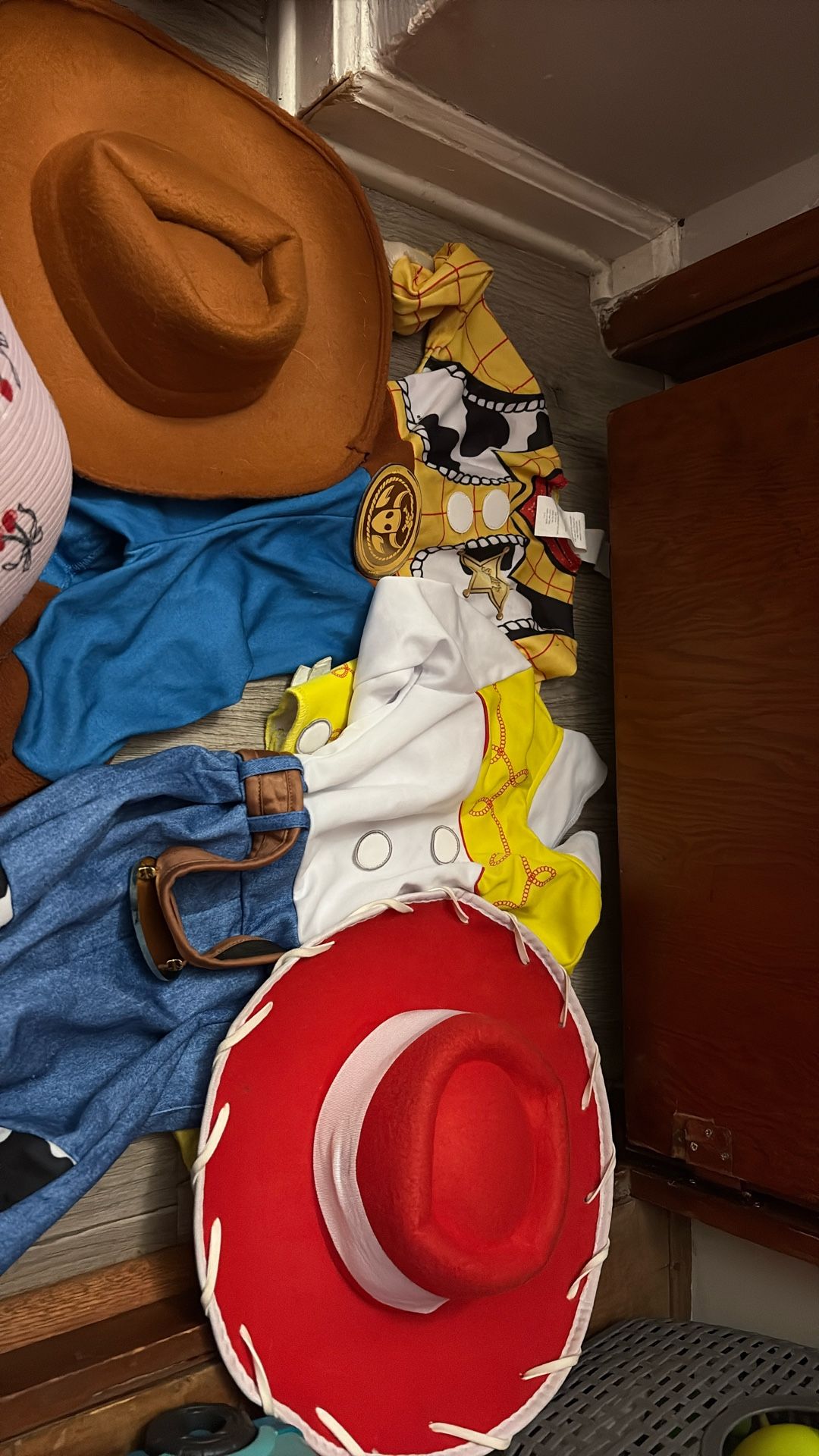 Halloween Jessie And Woody Costume