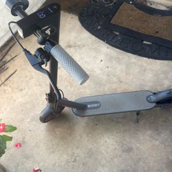 Electric Scooter 