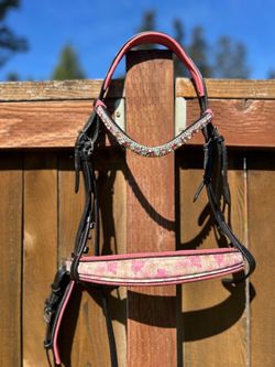 🩷 Pink Flower Bridle Cob
