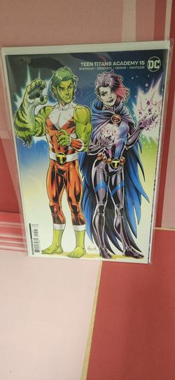 Teen Titans Academy 15. Beast boy And Raven Cover